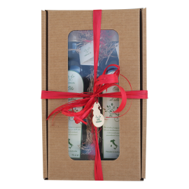 Duo classico natalizio